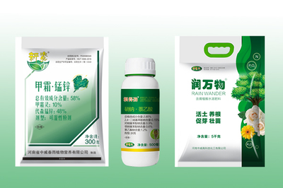 春季綠化工程樹木養(yǎng)護與大樹移栽成活率提升策略